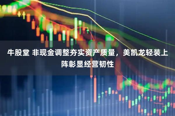 牛股堂 非现金调整夯实资产质量，美凯龙轻装上阵彰显经营韧性